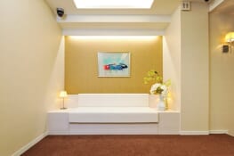 MAXFACS GINZA CLINIC